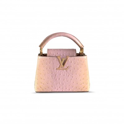 LOUIS VUITTON CAPUCINES MINI N85511 (21*14*8cm)